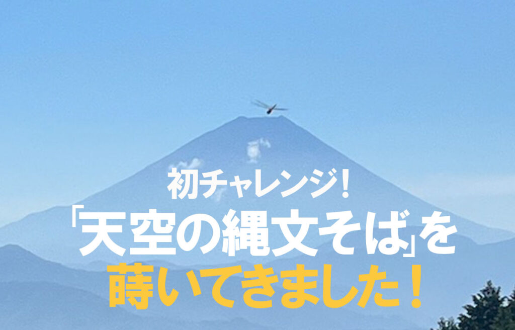 「天空の縄文そば」を蒔いてきました！