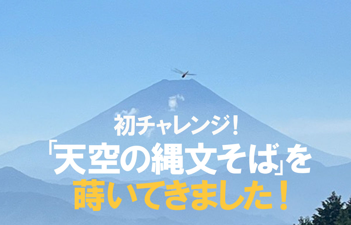 「天空の縄文そば」を蒔いてきました！