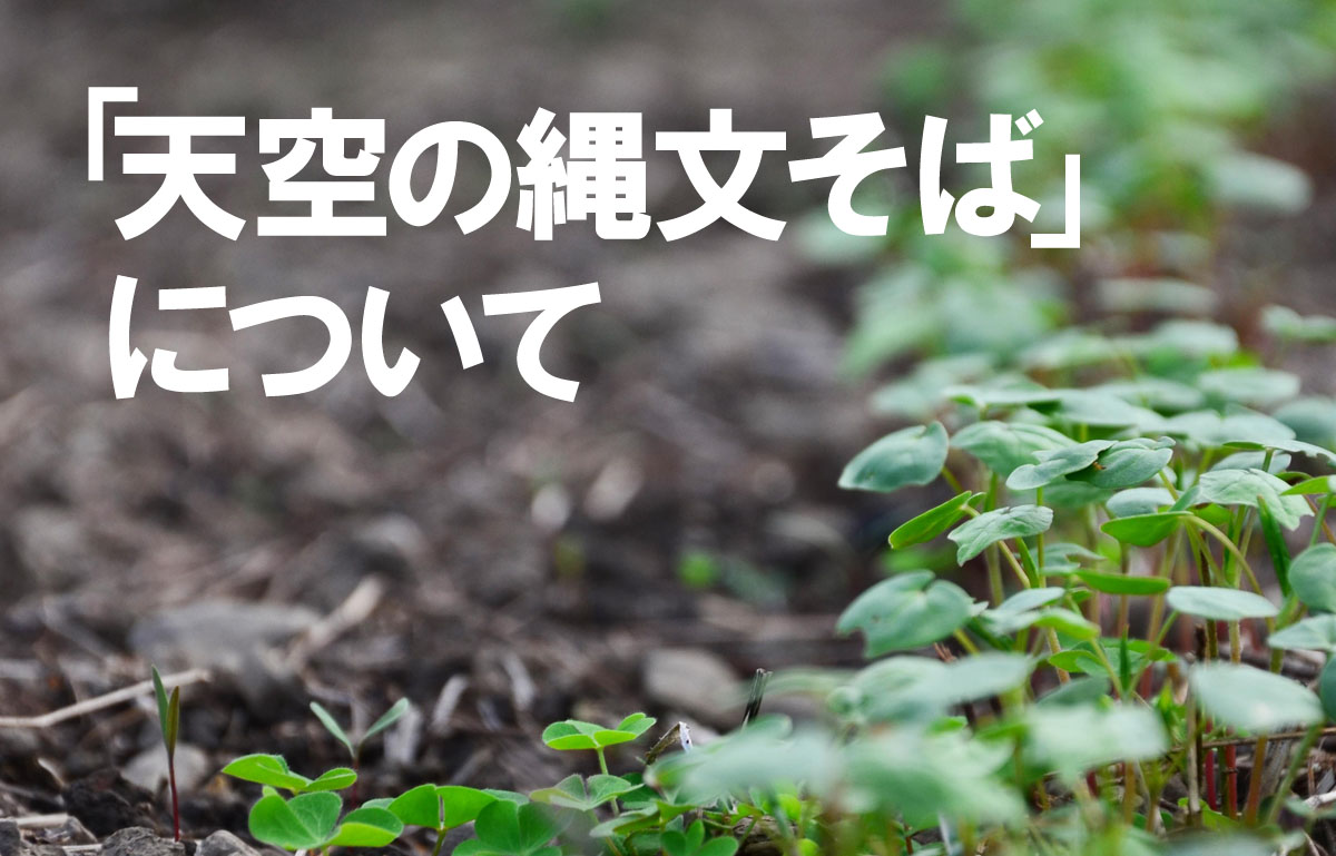 縄文そばについて